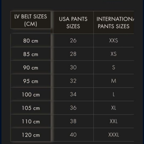 Louis Vuitton belt - Picture 7 of 7